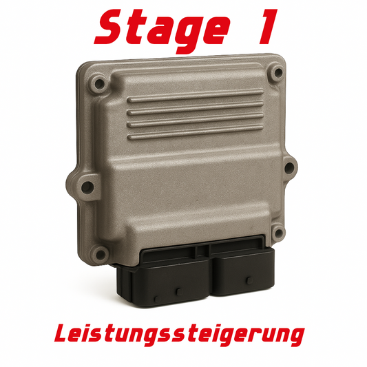 Ford Fiesta Mk 7 ST - Stage 1 Leistungssteigerung